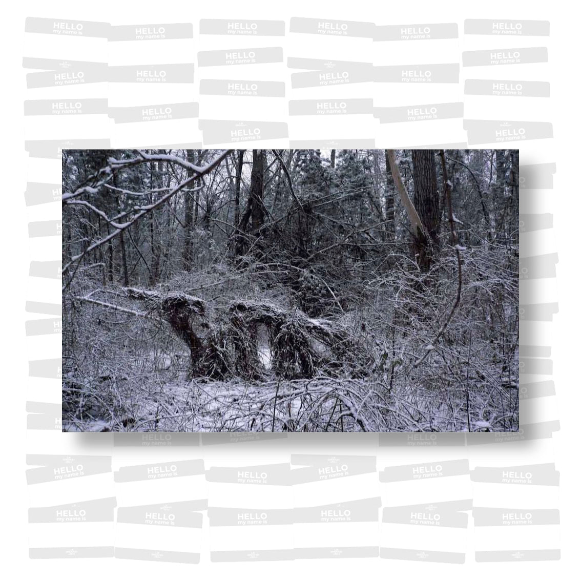 Writing the Memory of the City