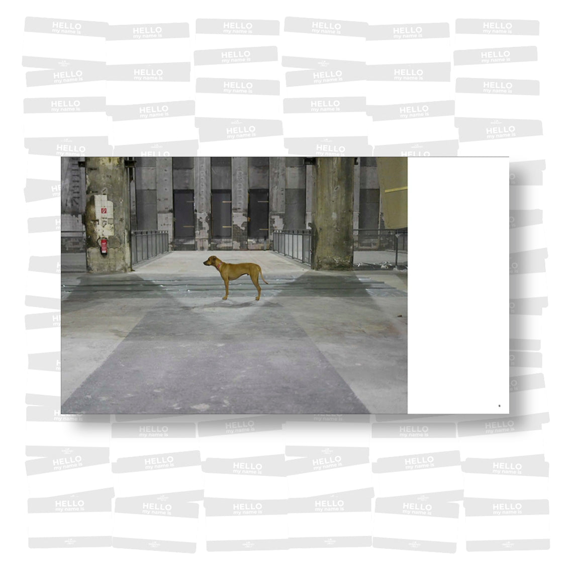 Berghain Kunst im Klub / Art in the Club