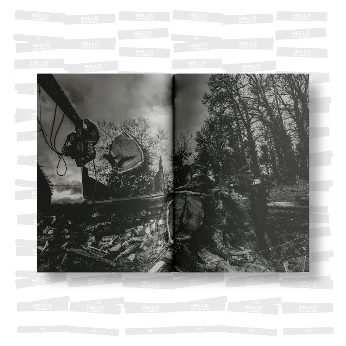 Steph Cop - IX arbre (SIGNED)