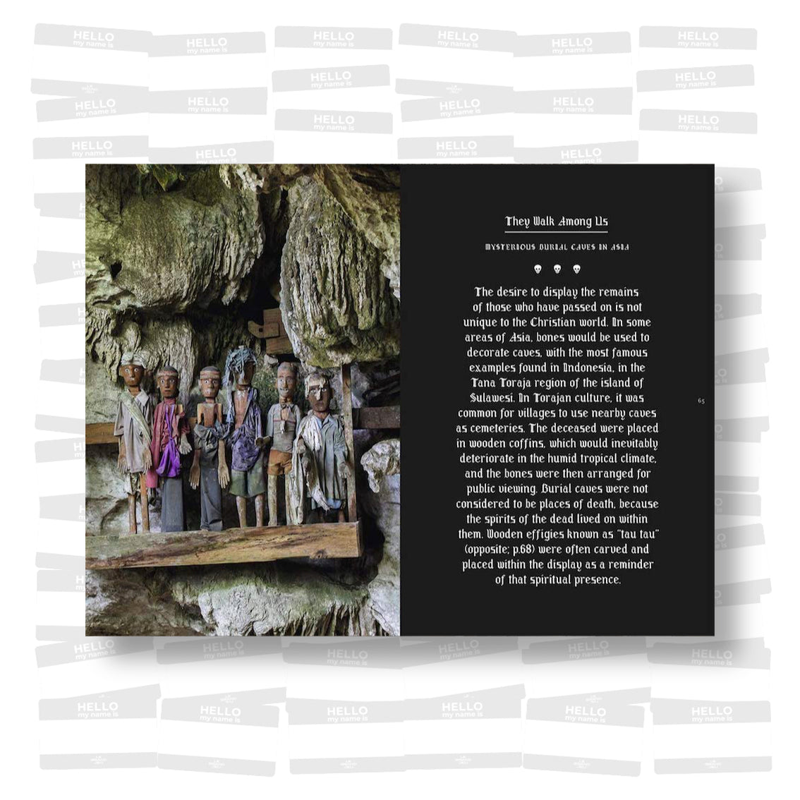 Memento Mori The Dead Among Us