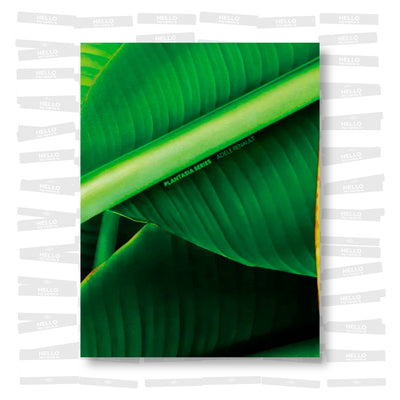 Adèle Renault - Plantasia Series