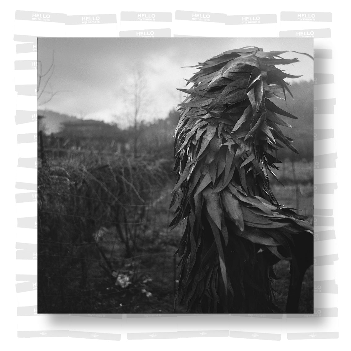 Yannick Cormier - Tierra Mágica