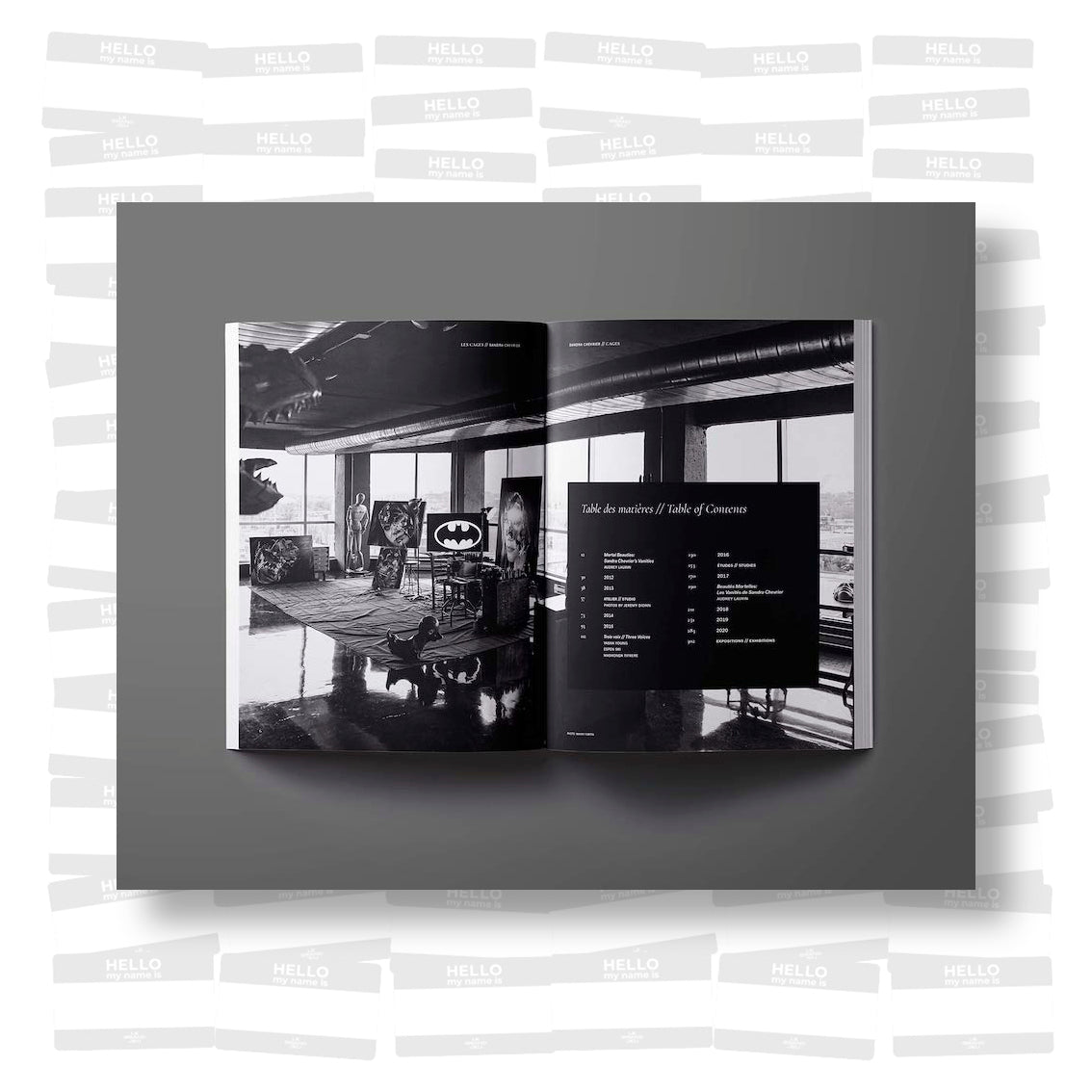 Sandra Chevier - Cages