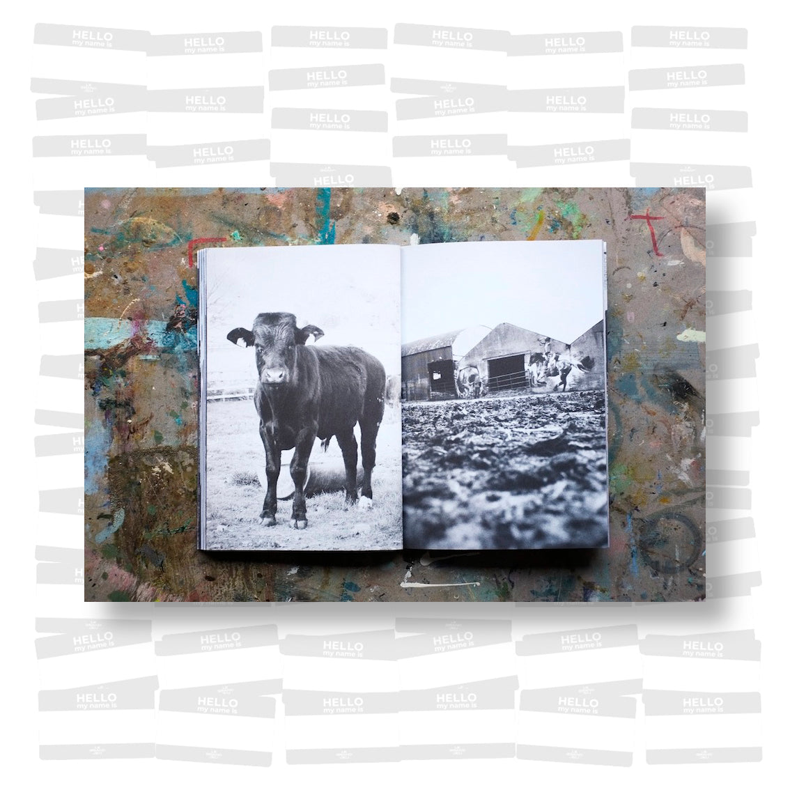 Conor Harrington - Belfast (SIGNED)