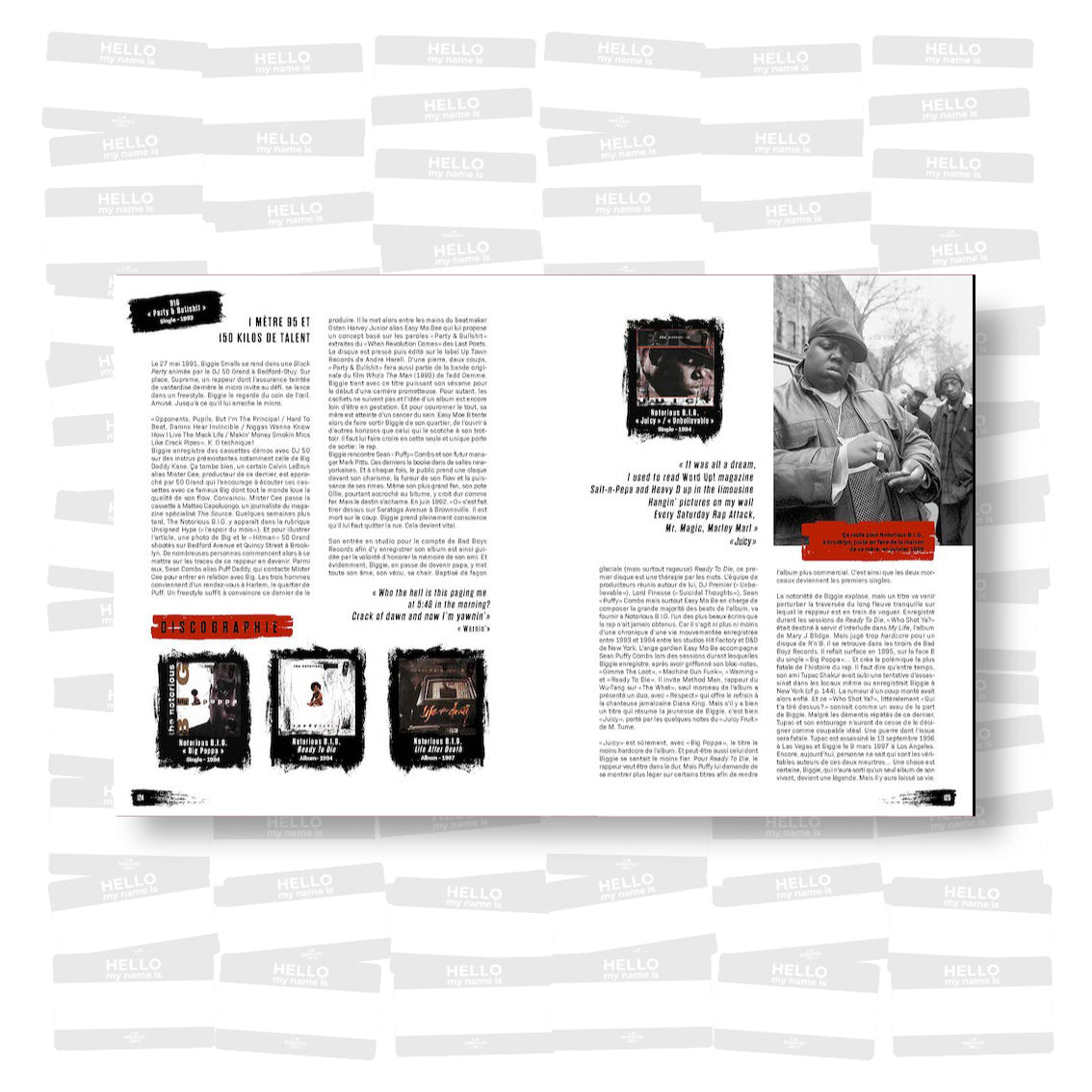 Explicit Lyrics : Une histoire du rap américain