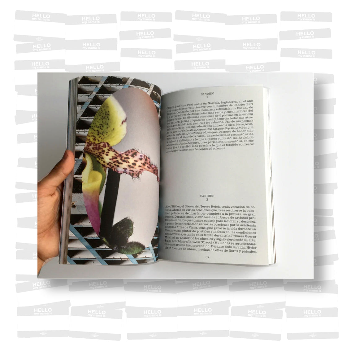 Escif - Qué pasa con los insectos después de la guerra