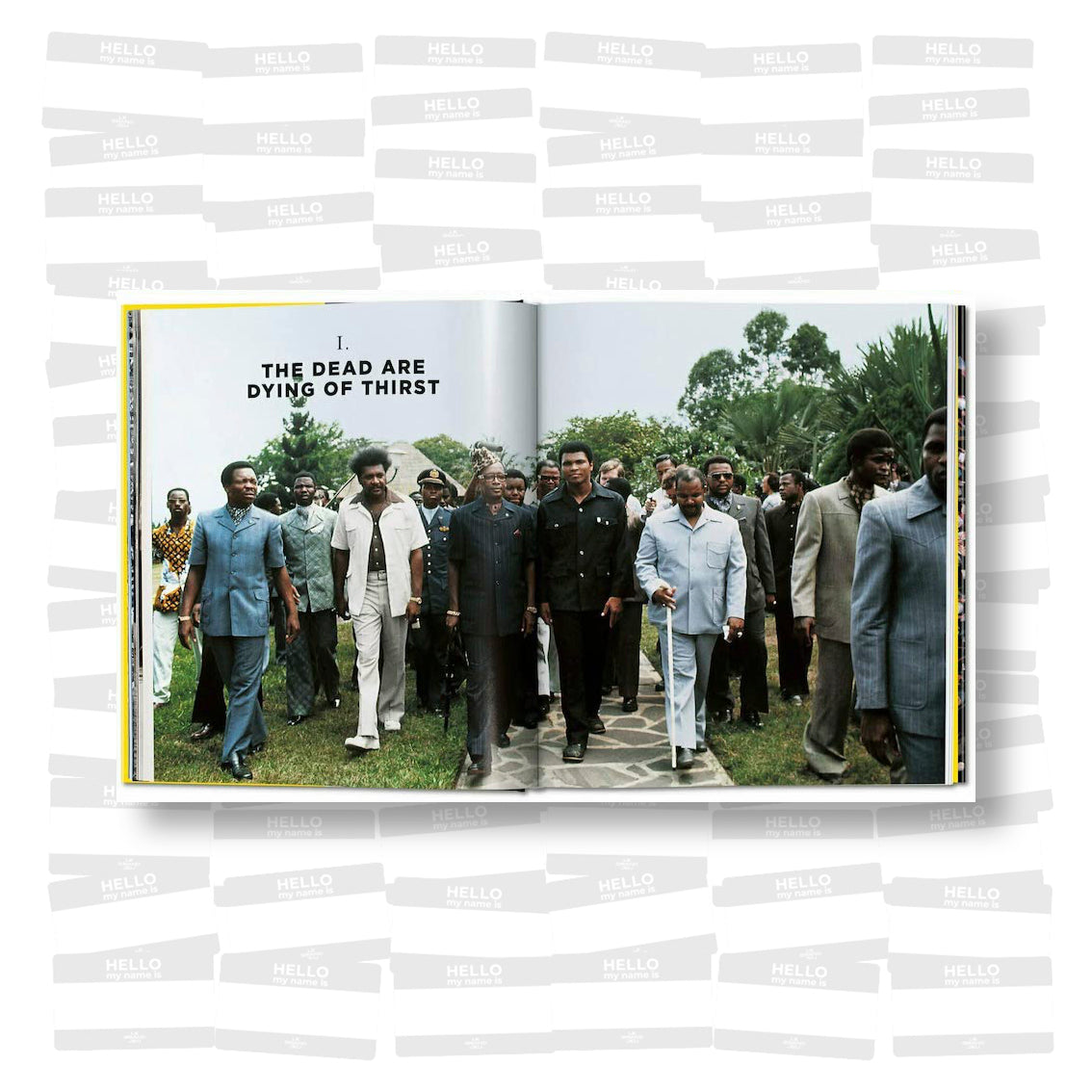 Norman Mailer - The Fight