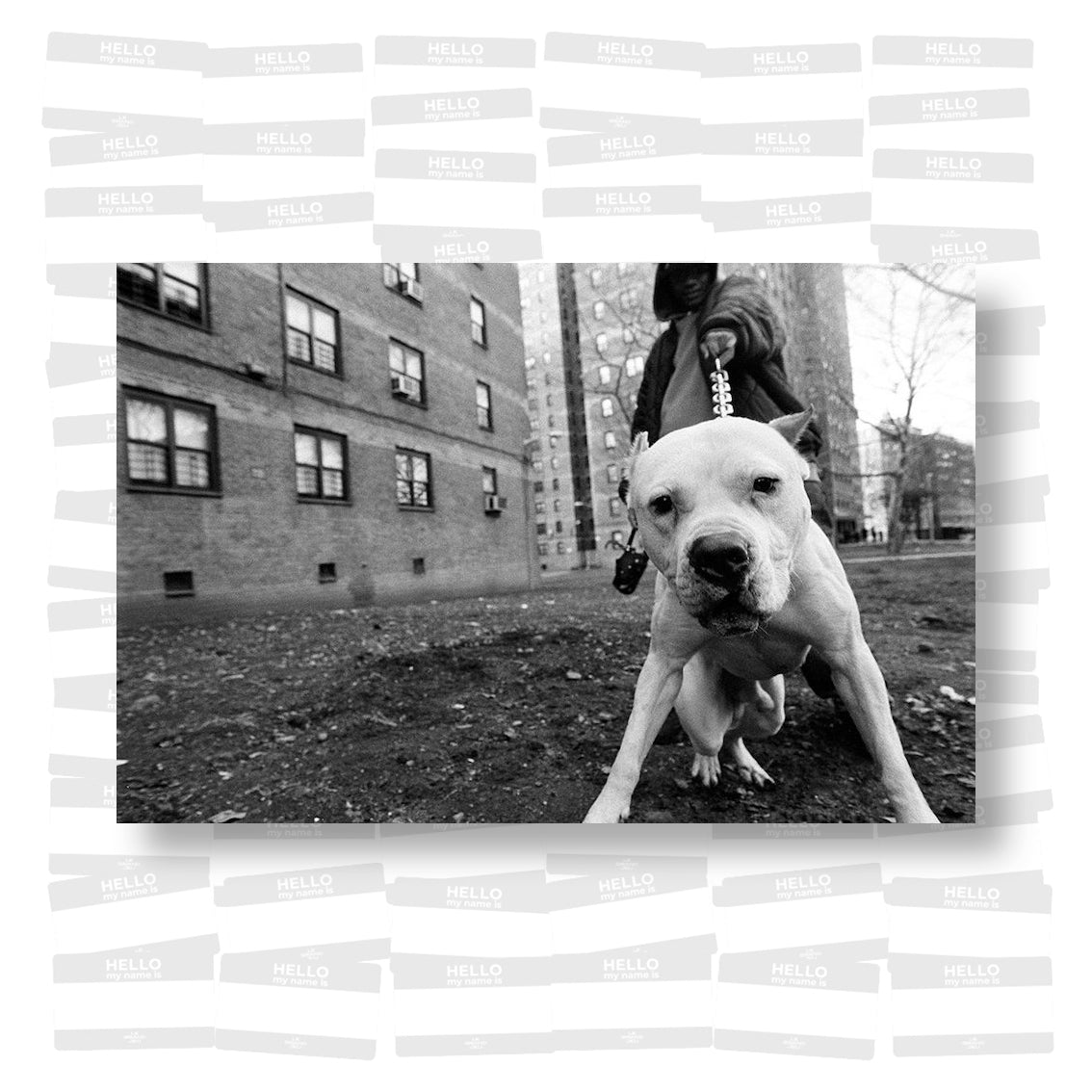 Boogie - It's All Good