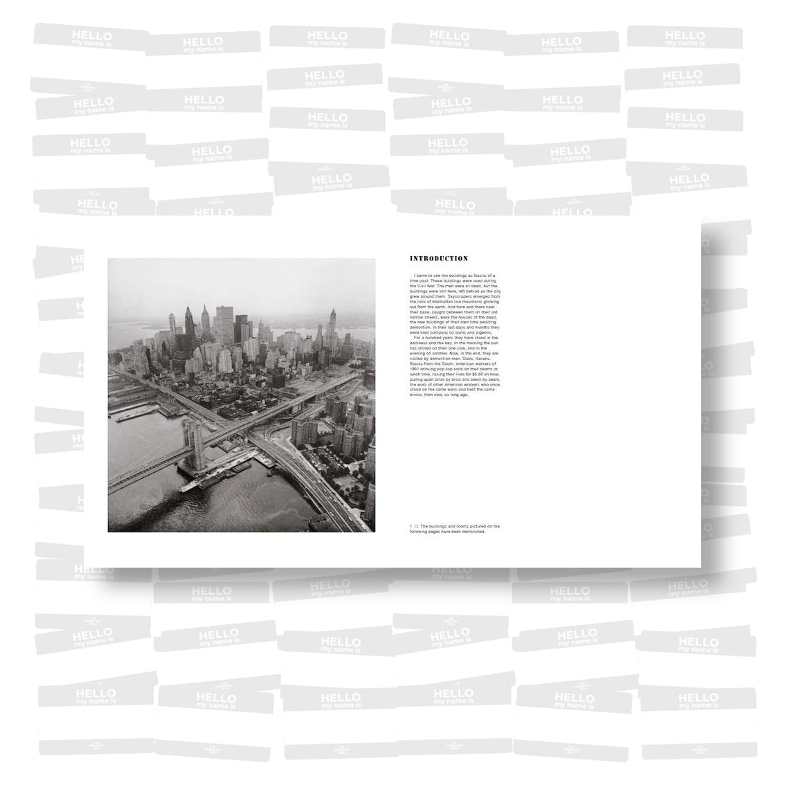 Danny Lyon - The Destruction of Lower Manhattan