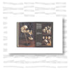 Skulls: Portraits of the Dead and the Stories They Tell
