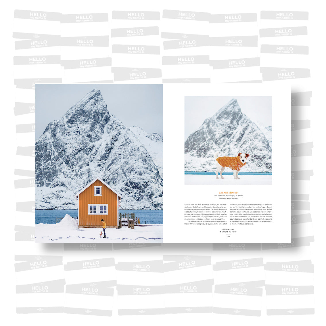 Accidentally Wes Anderson: 200 lieux dignes de ses plus beaux décors