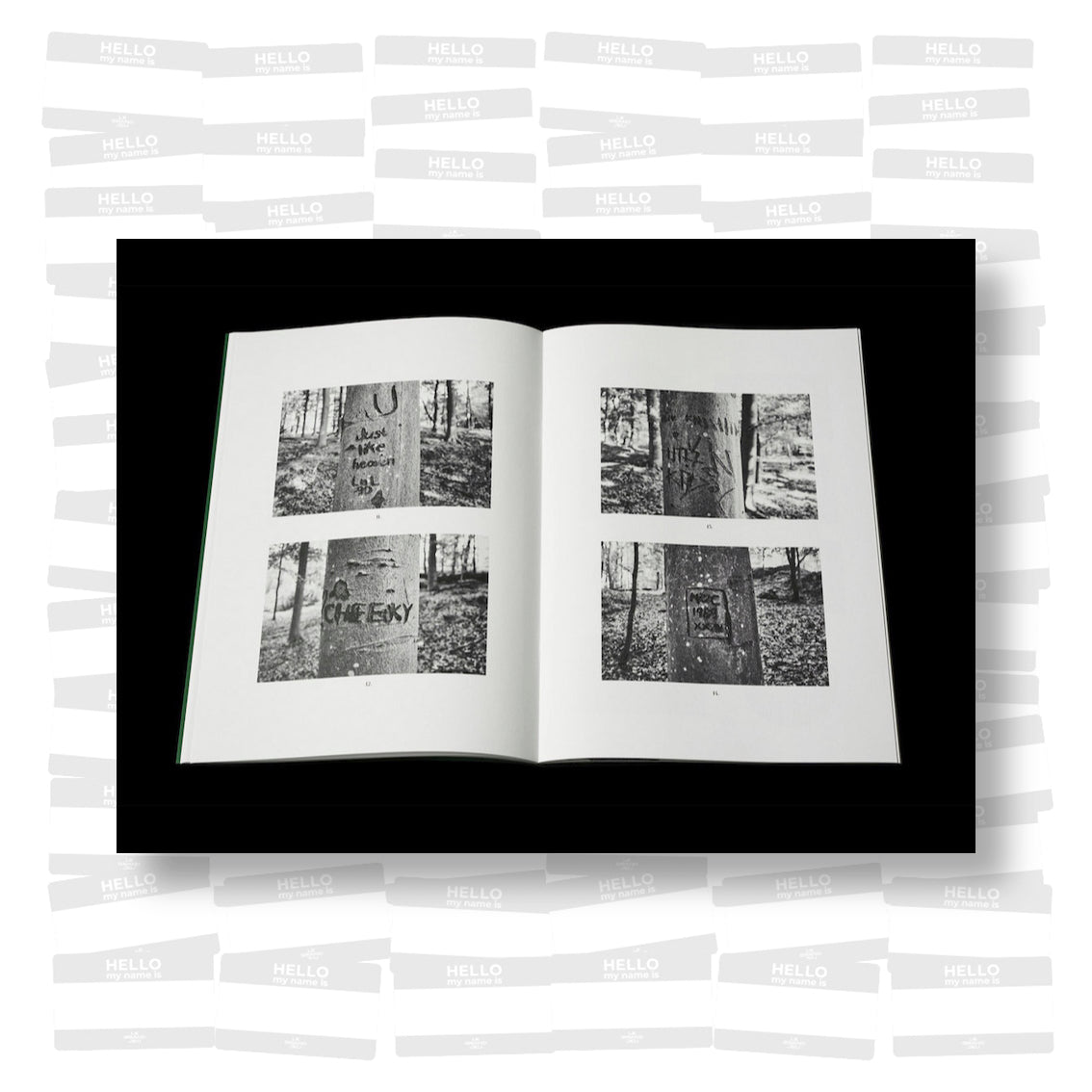 Per Englund - Swedish Arborglyphs