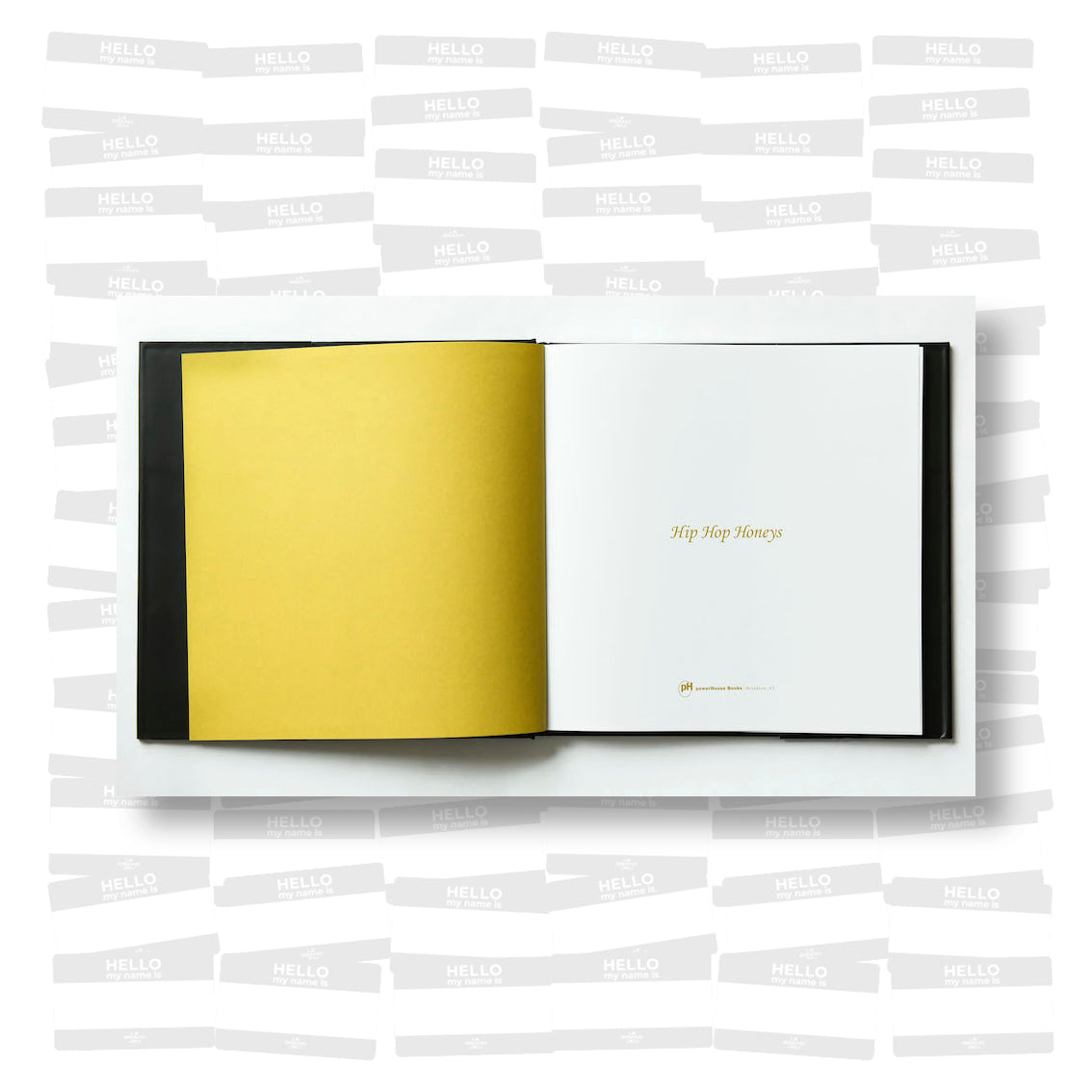 Brian Finke - Hip Hop Honeys (SIGNED)