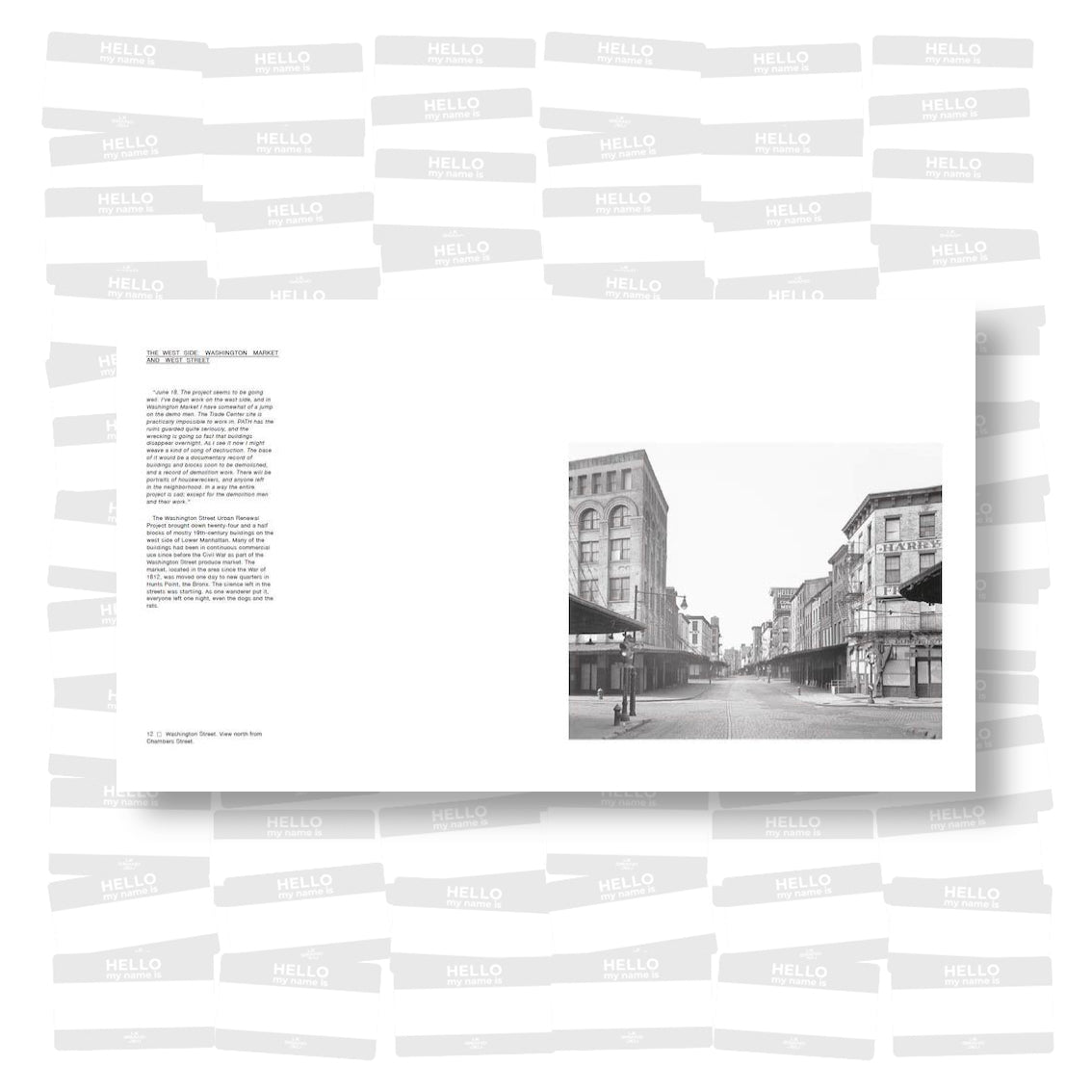 Danny Lyon - The Destruction of Lower Manhattan