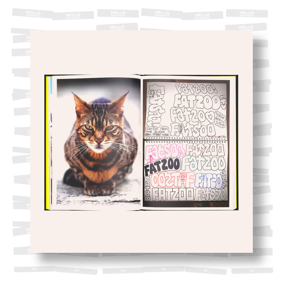 Teach DDS - Bad Yeah