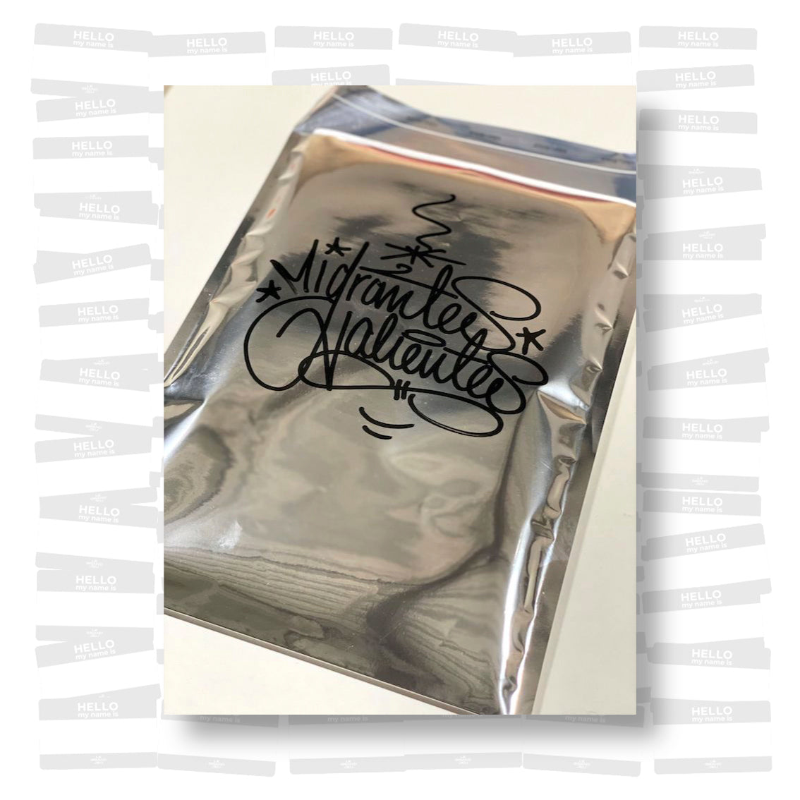 Pablo Allison - Detainee Handbook