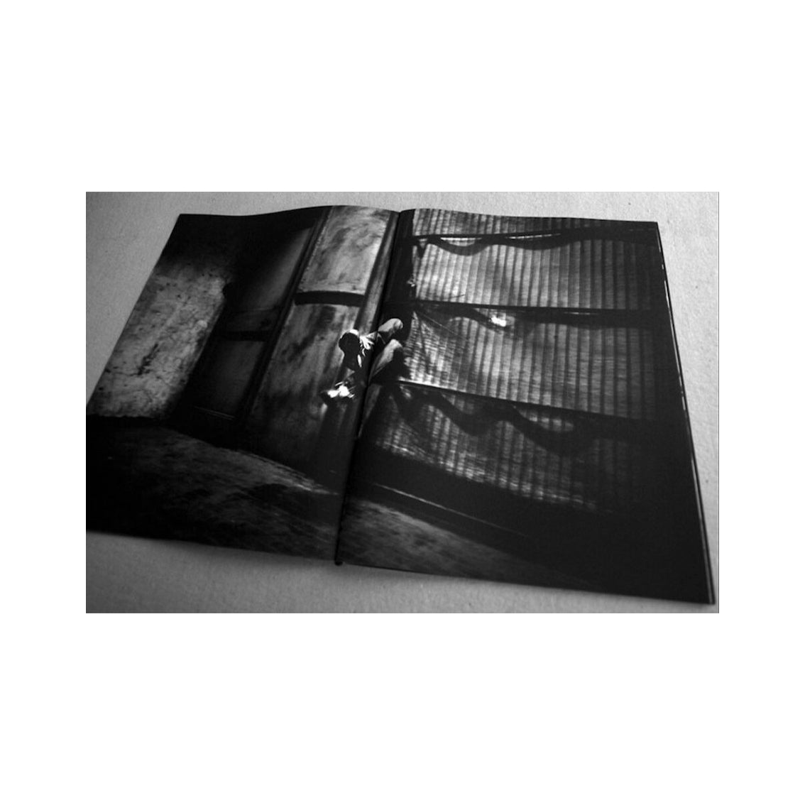 Valerio Polici - Ergo Sum