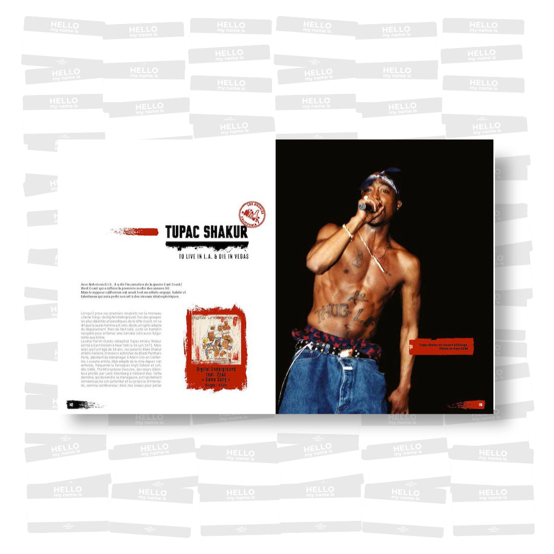 Explicit Lyrics : Une histoire du rap américain