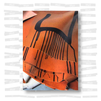 Fabien Rap Azou - Sapiens 21