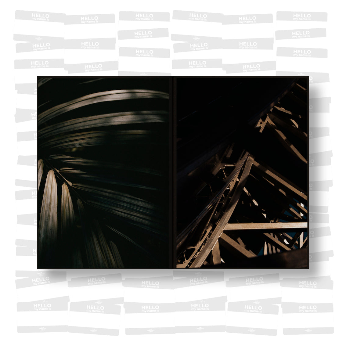 RFTW - Rather Fly Than Walk