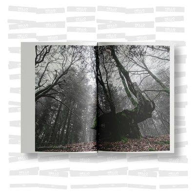 Steph Cop - IX arbre (SIGNED)