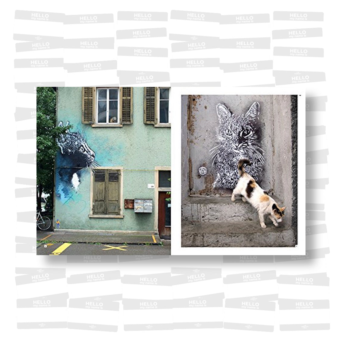 C215 - La monographie