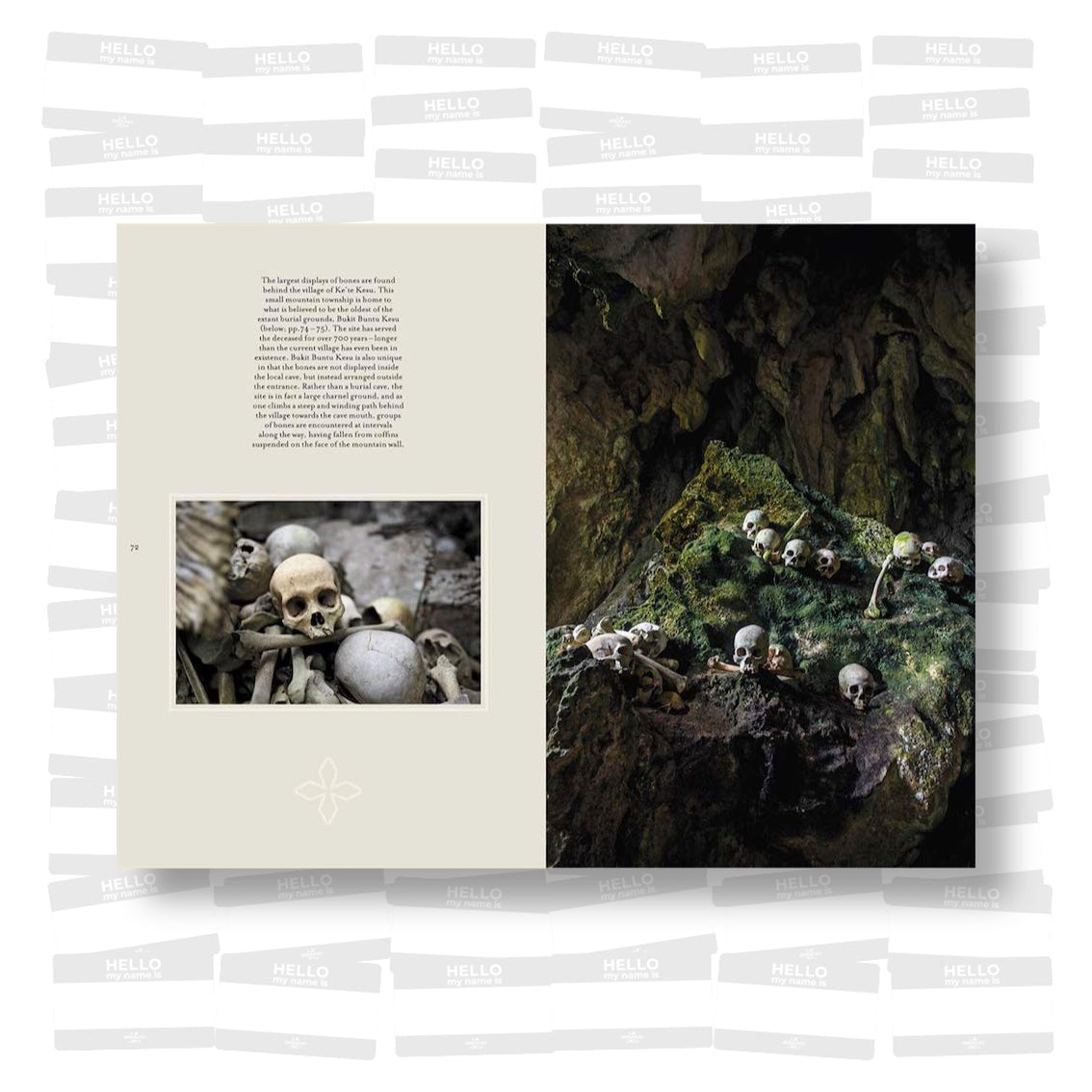 Memento Mori The Dead Among Us