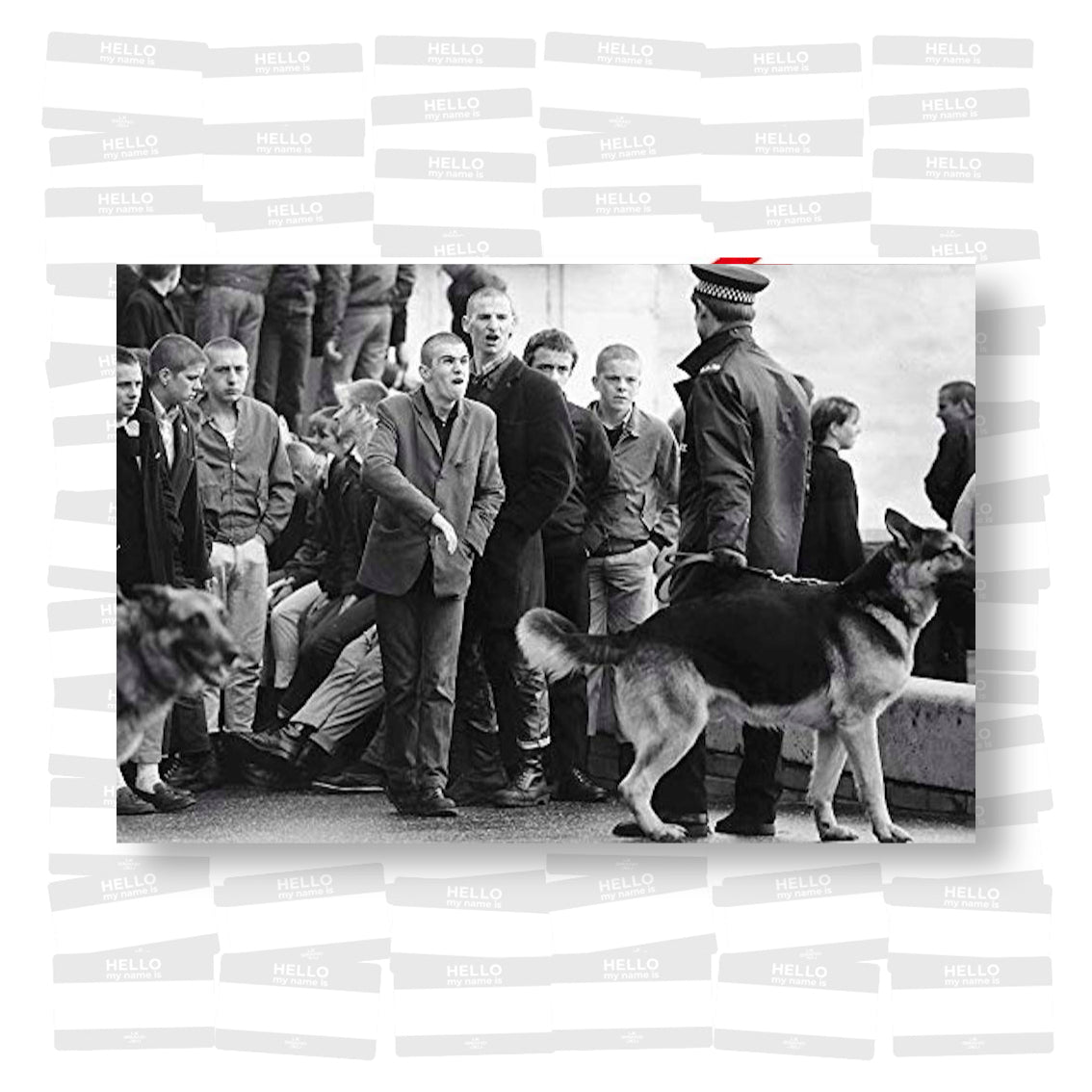 Skins: A Way of Fife