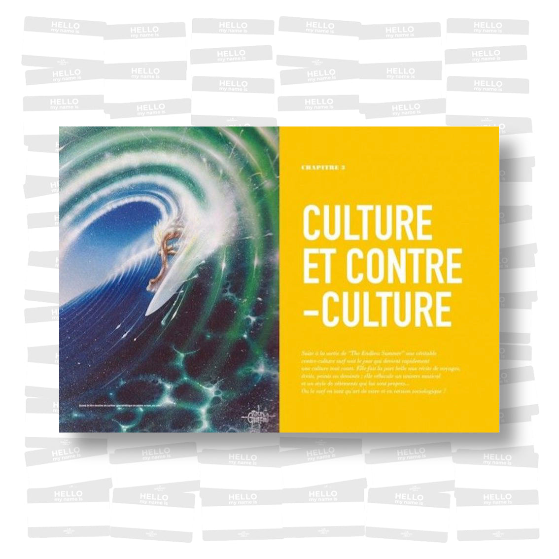 The Endless Summer. La légende du Surf