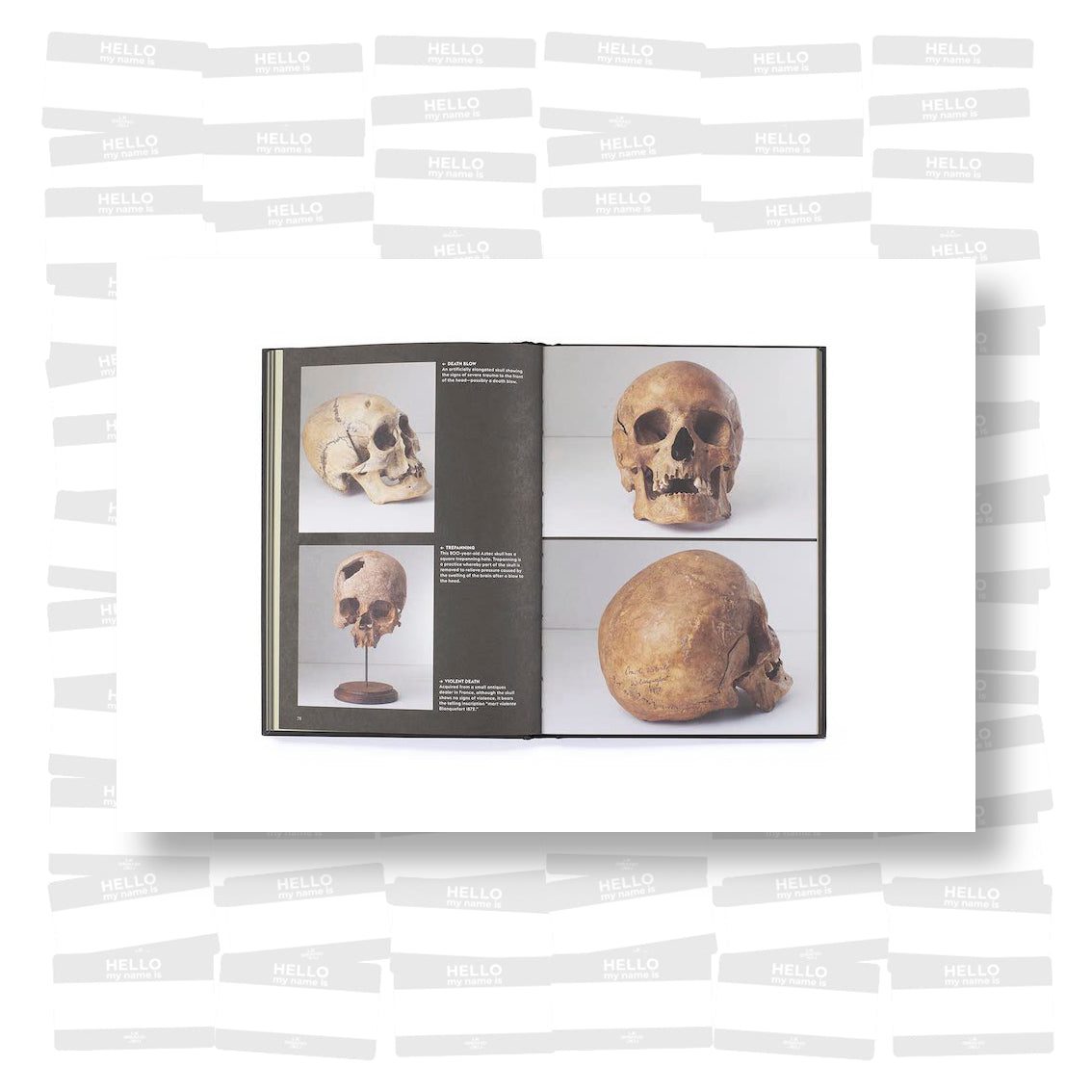 Skulls: Portraits of the Dead and the Stories They Tell