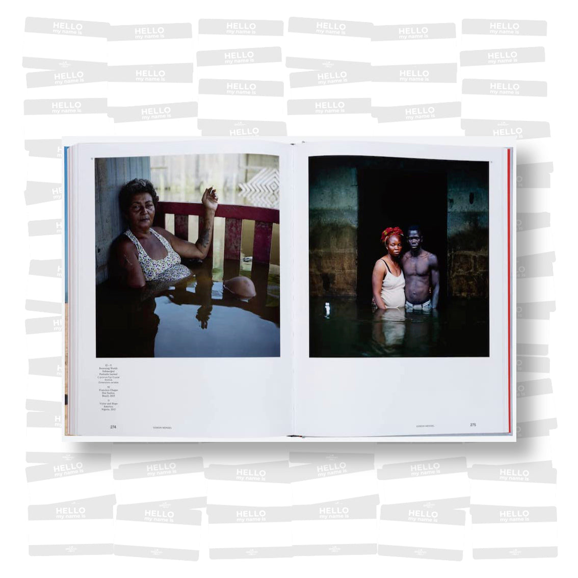 The Art of Protest : Political Art and Activism