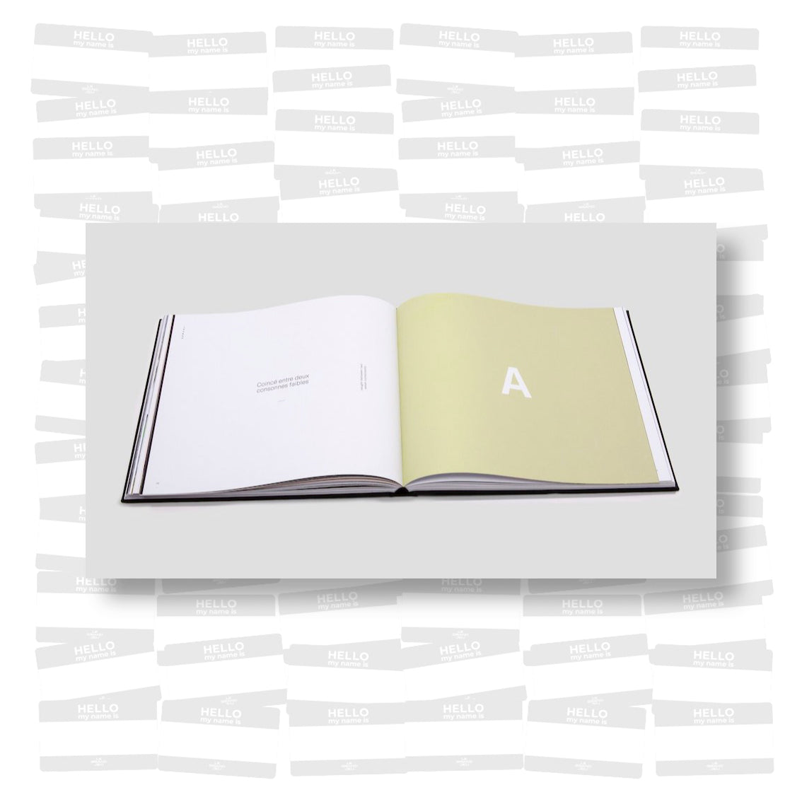 Serval - A life in letters