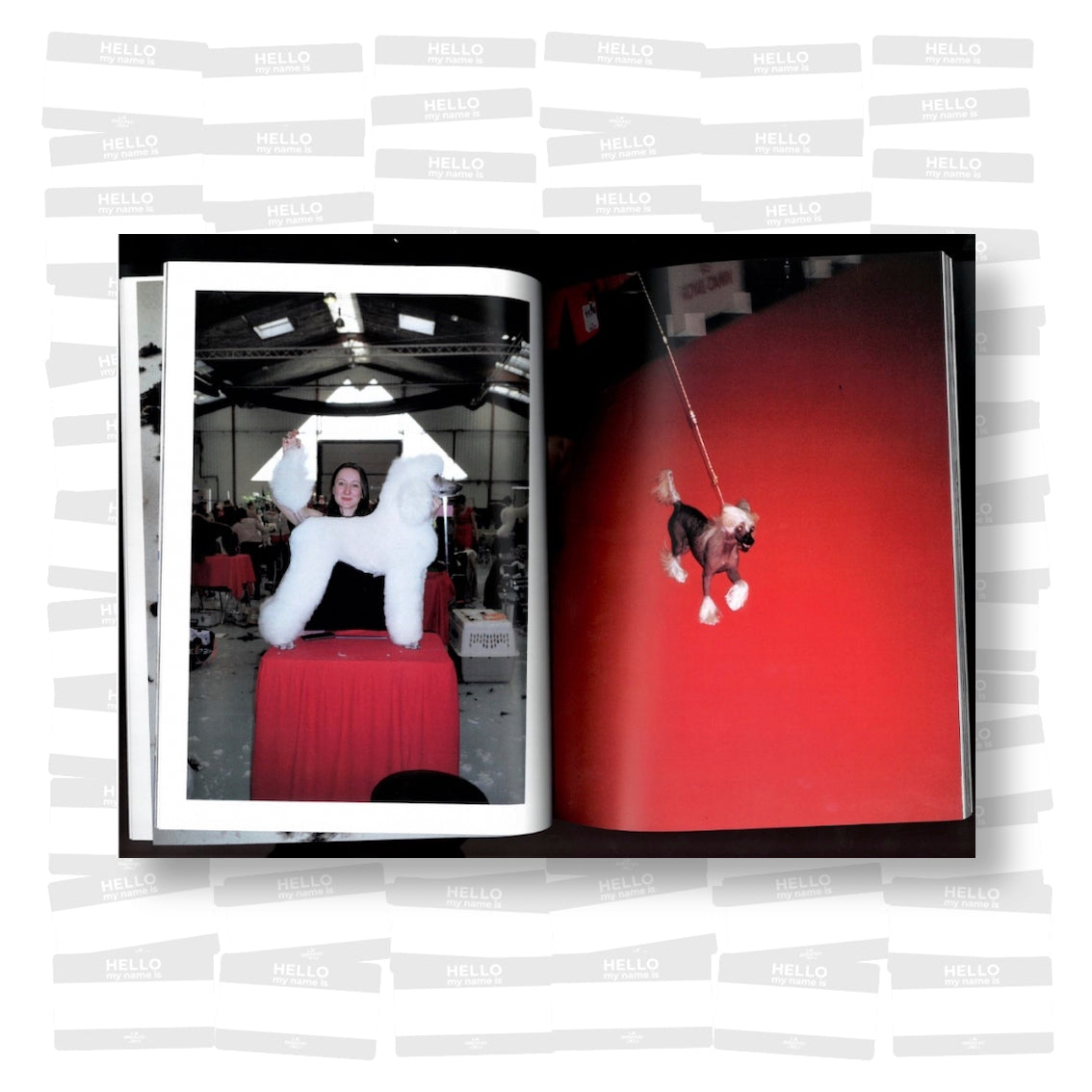 Olivia Hespel-Obregon - Amours chiens