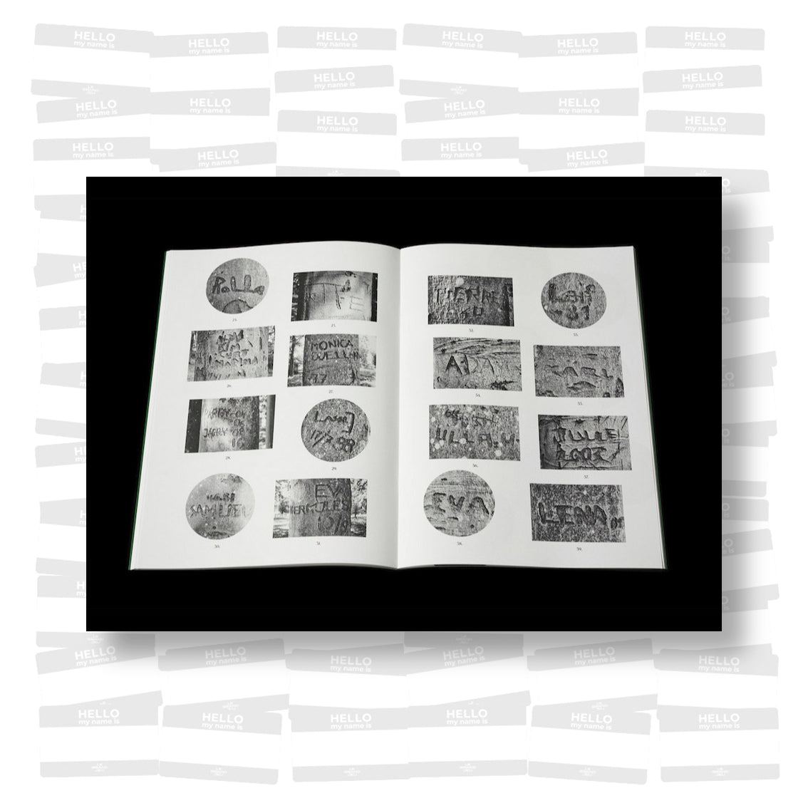 Per Englund - Swedish Arborglyphs