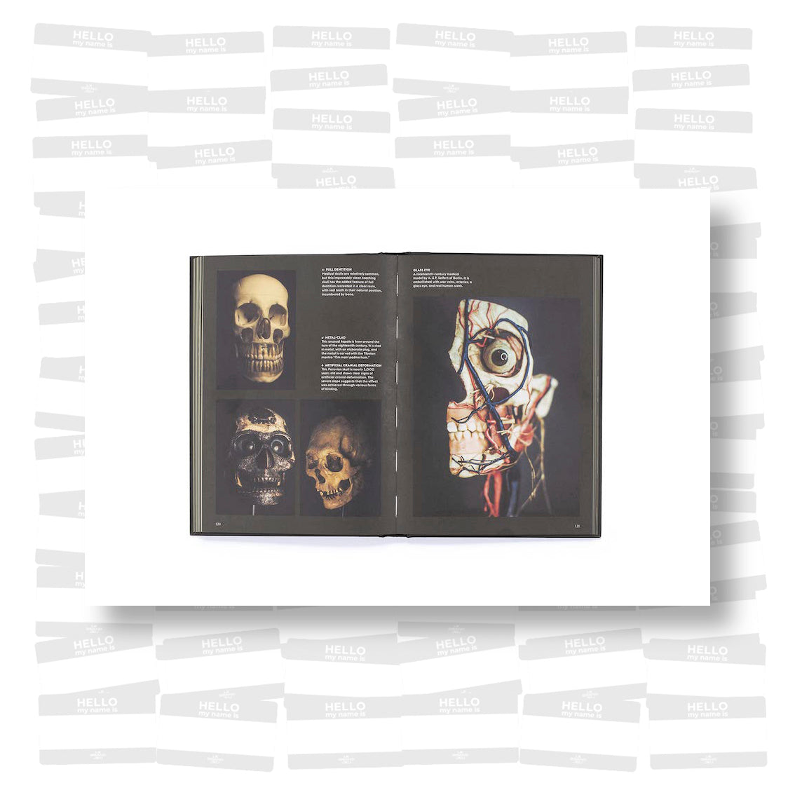 Skulls: Portraits of the Dead and the Stories They Tell