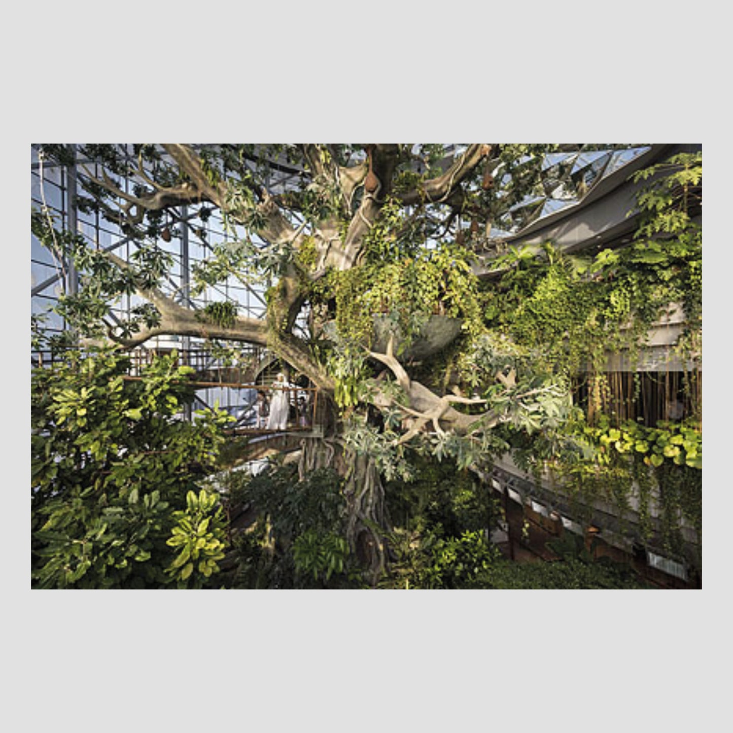 Nick Hannes│Garden of Delight