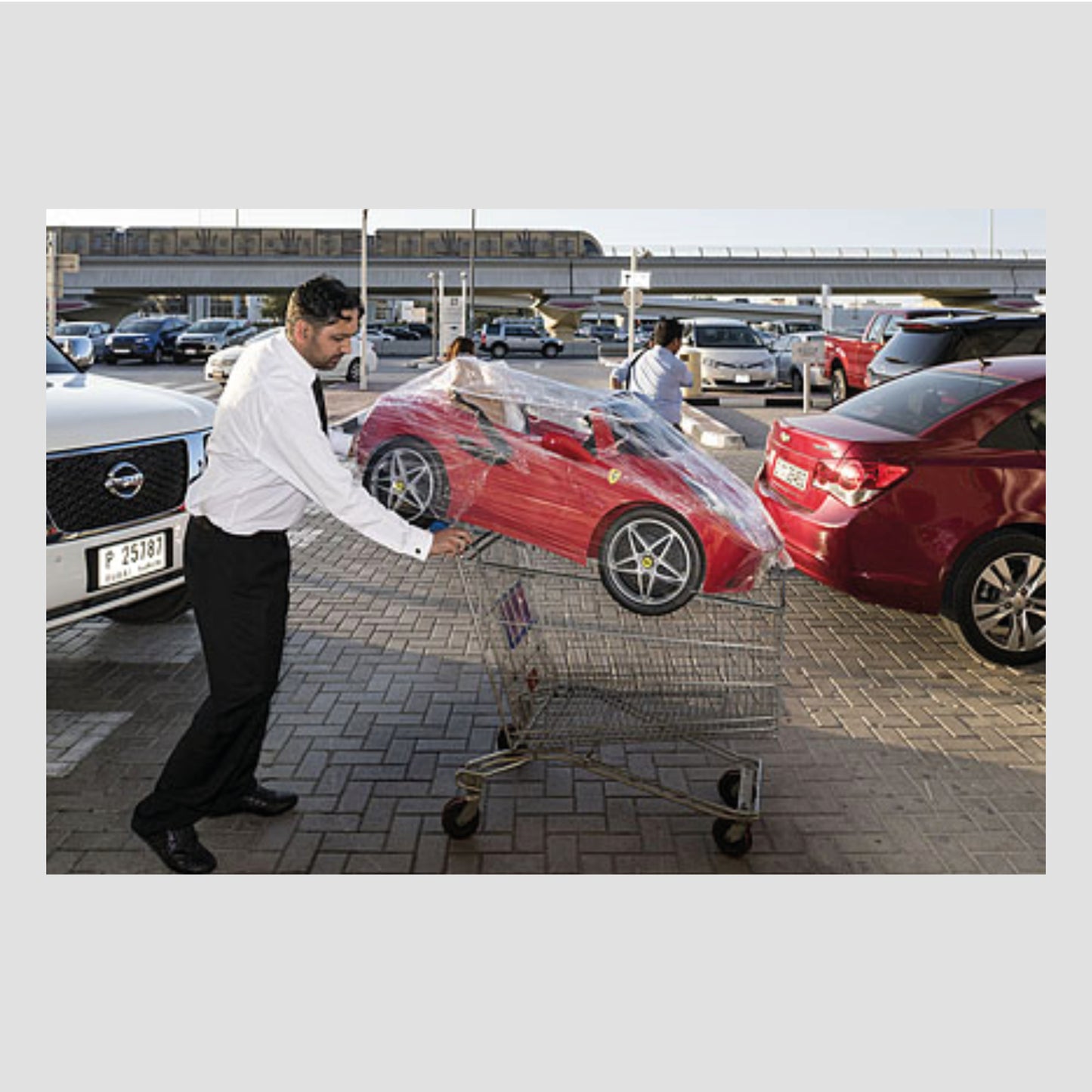 Nick Hannes│Garden of Delight